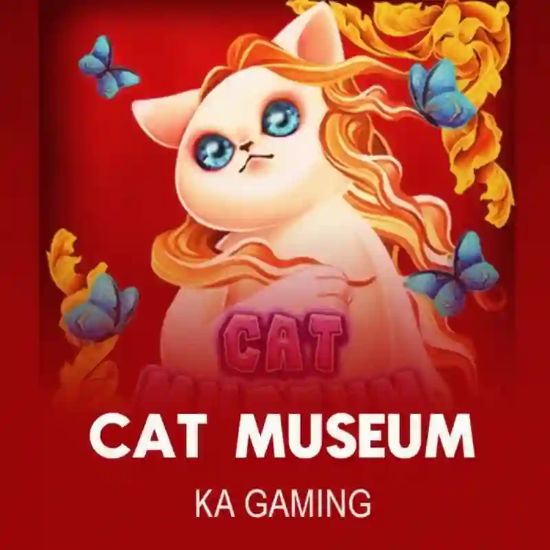 Cat Museum